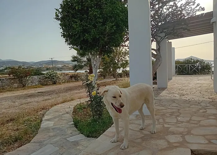 Ione Seaside 圣玛丽亚