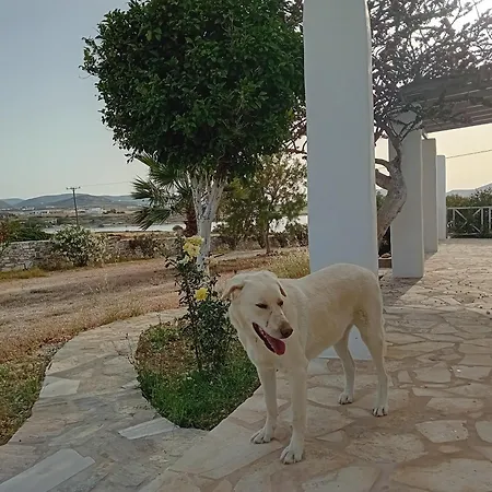 Ione Seaside Santa Maria (Paros)